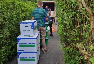 verhuizen in 1 dag